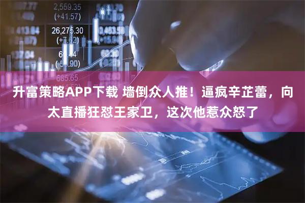 升富策略APP下载 墙倒众人推！逼疯辛芷蕾，向太直播狂怼王家卫，这次他惹众怒了