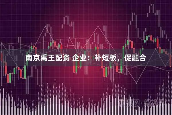 南京禹王配资 企业：补短板，促融合